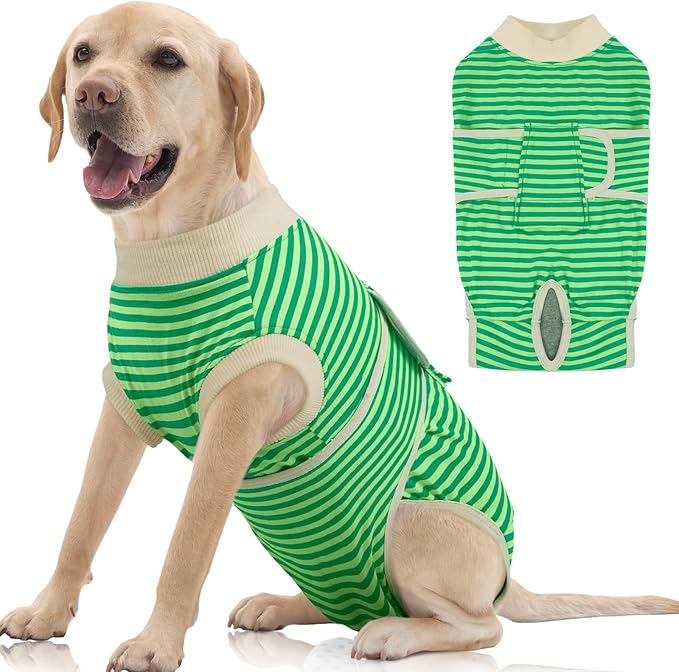 FUAMEY Dog Recovery Suit Male,Dogs Surgery Neuter Suits Puppy Spay Shirts for Female Protect Dog's Skin Anti Licking Abdominal Wounds Doggie Onesie Pet Bodysuit Alternative to Cone Green Stripes XXL-PurrikoPets