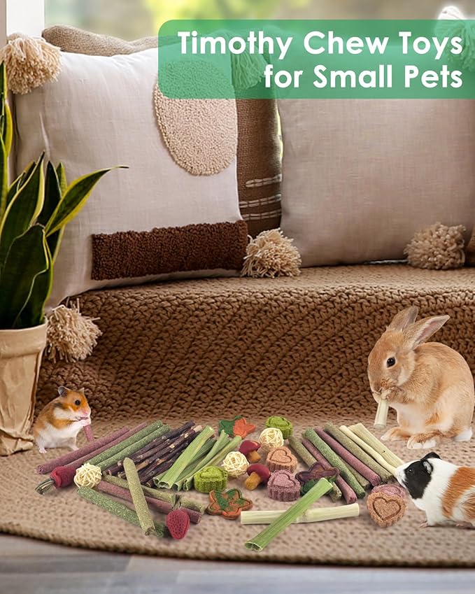 ERKOON 53 Bunny Chew Toys for Rabbits Teeth, Natural Rabbit Toys Apple Wood Sticks, Carrot, Timothy Grass for Small Pets, Hamster, Chinchilla, Guinea Pig Dental Care and Treat Teething(53)-PurrikoPets