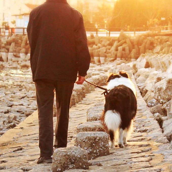 Dog Tie Out Cable,50ft Dog Lead-Heavy Duty Tie Out Cable for for Large Dogs Up to 125lbs-Dog Chain for Yard-Outside Dogs Runner Tether Line-PurrikoPets