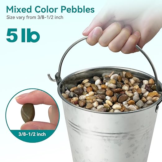 5 lbs Pebbles for Indoor Plants, Vase, Succulent, 3/8" Gravel for Plants, Pots Indoor, Bamboo Rocks for Bamboo Plants, Decorative Small River Rock, Highly Polished-PurrikoPets