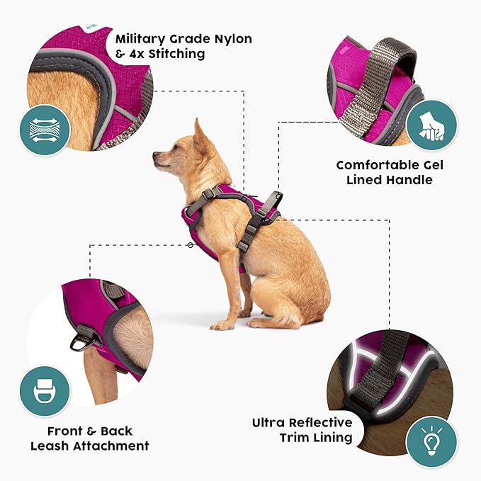 Embark Adventure Dog Harness, No-Pull Reflective Trim Dog Harness for Small, Medium & Large Dogs - Military Grade Nylon, 2 Leash Clips & Gel Lined Handle. Soft & Padded Puppy Dog Vest for Any Breed-PurrikoPets