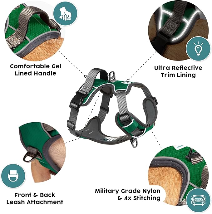 Embark Adventure Dog Harness, Reflective Trim No Pull Dog Harnesses for Small Sized Dogs - Military Grade Nylon, Front Clip with Gel Lined Handle.-PurrikoPets