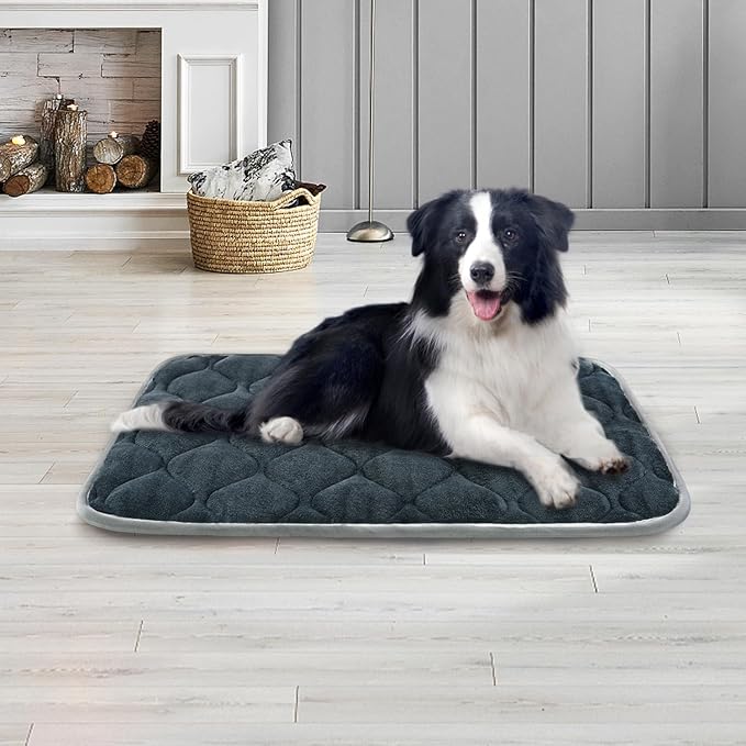 furrybaby Dog Bed Mat Flat Crate Mat with Anti-Slip Bottom Machine Washable Pet Kennel Pad for Dog Sleeping (M 30x19'', Grey Mat)-PurrikoPets