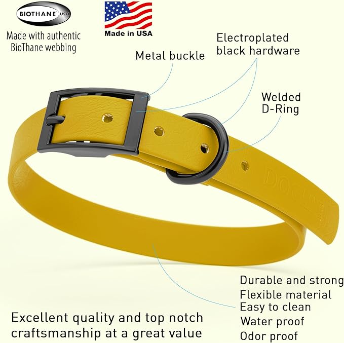 Dogline Biothane Waterproof Dog Collar Strong Coated Nylon Webbing with Black Hardware Odor- Proof for Easy Care Easy to Clean High Performance Fits Small Medium or Large Dogs, Treasure Gold-PurrikoPets