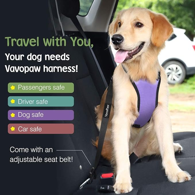 Dog Seat Belt, Safety Vest Dog Car Harness with Adjustable Buckle Dog Seat Belt for Vehicle Nylon Pet Safety Seat Belts Heavy Duty(S, Purple)-PurrikoPets