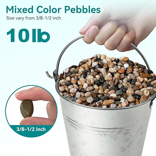 10 lbs Pebbles for Indoor Plants, Vase, Succulent, 3/8" Gravel for Plants, Pots Indoor, Bamboo Rocks for Bamboo Plants, Decorative Small River Rock, Highly Polished-PurrikoPets