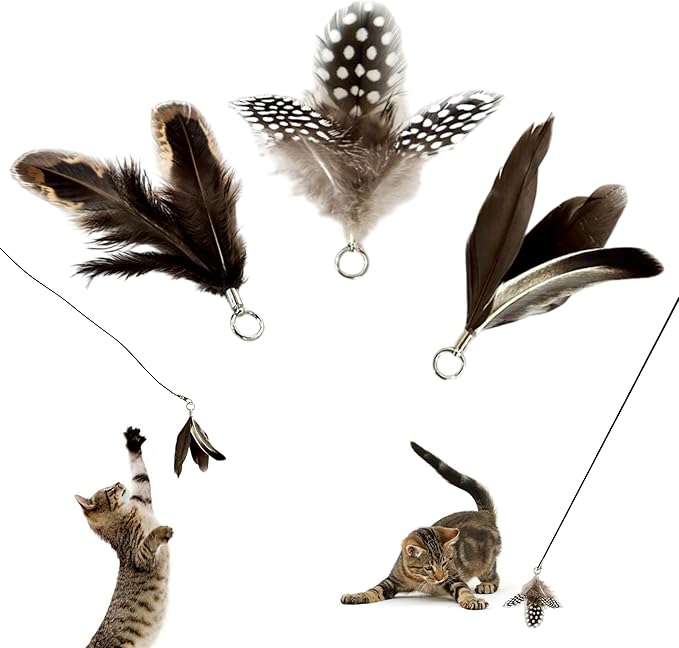 Feather Toys Replacements (3 Pc) - Cat Toys & Kitten Toys for Indoor Kittens, Set of Replacement Feather Attachments Extra Small and Durable, for Cat Wands, Natural and Safe-PurrikoPets