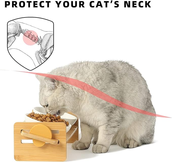 FUKUMARU Elevated Cat Ceramic Bowls, Small Dog 15° Tilted Raised Food Feeding Dishes, Solid Bamboo Water Stand Feeder Set for Cats and Puppy-PurrikoPets