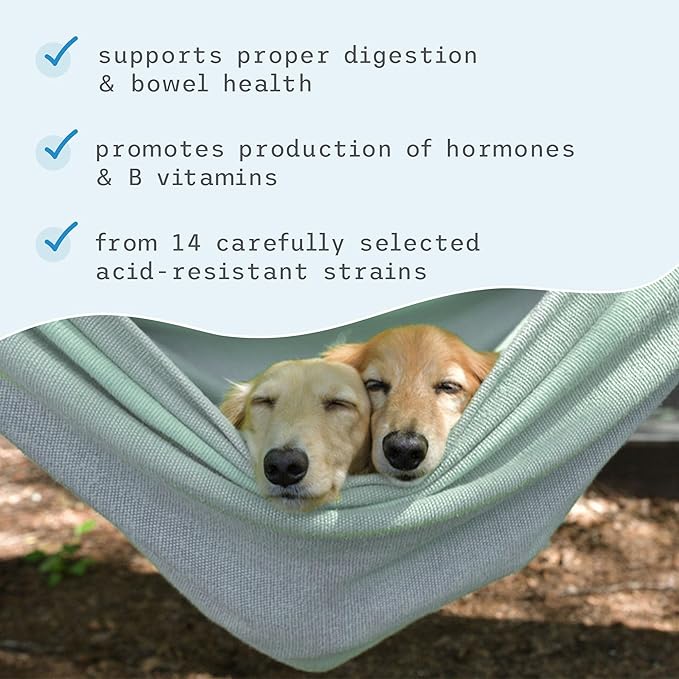 Dr. Mercola, Complete Probiotics, for Cats and Dogs, 3.17 oz (90 g), Supports Immune Function, Digestive Support, Non GMO, Soy Free, Gluten Free-PurrikoPets