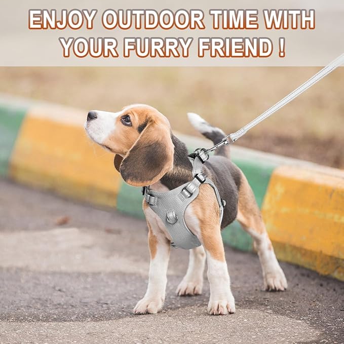 Dog Harness Step in Dog Vest Harness, Reflective Adjustable Puppy No Pull Harness Breathable Soft for Small and Medium Dogs Cats, Grey, XS-PurrikoPets