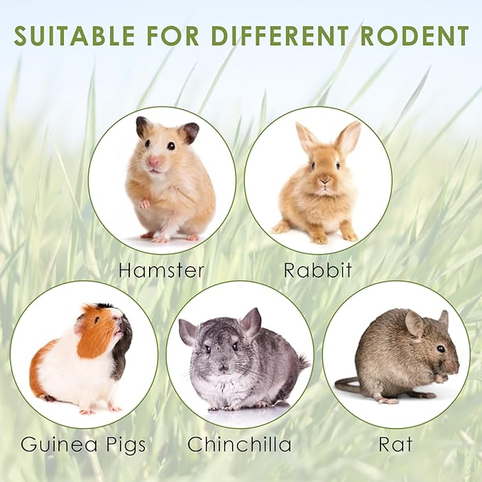 ERKOON 24Pcs Bunny Chew Toys, Small Animal Molar Toys Timothy Grass Beet Sweet Potato Pumpkin Cake Treats for Guinea Pig Hamster Bunny Chinchilla Gerbil, 100% Natural Rabbit Chews and Treats-PurrikoPets