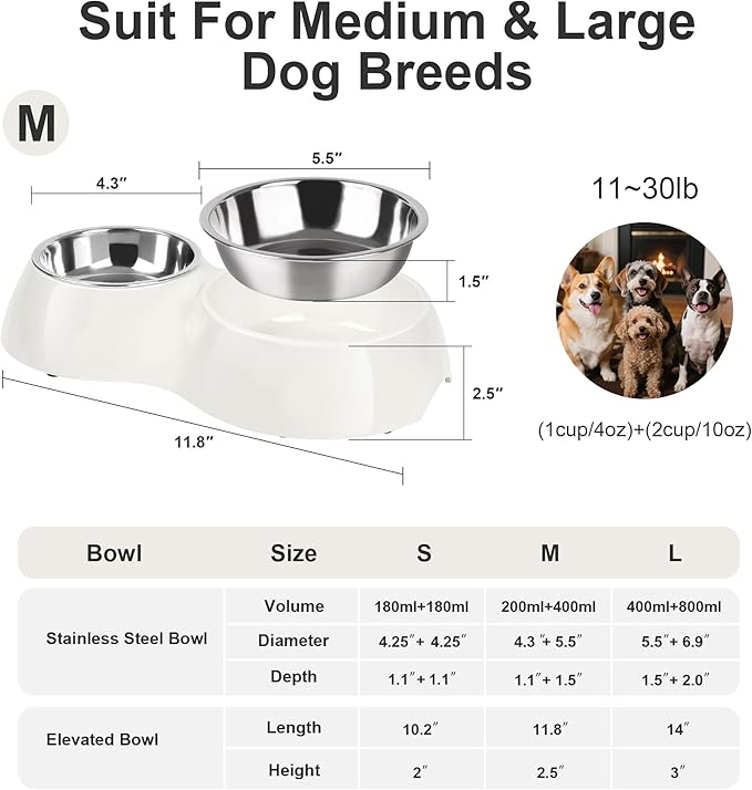 Double Dog Bowls Set – Non-Slip Pet Food & Water Dishes with Resin Stand, Includes Small (1 Cup) & Medium (2 Cups) Bowls – Ideal for Puppies, Cats, and Medium Dogs – White-PurrikoPets