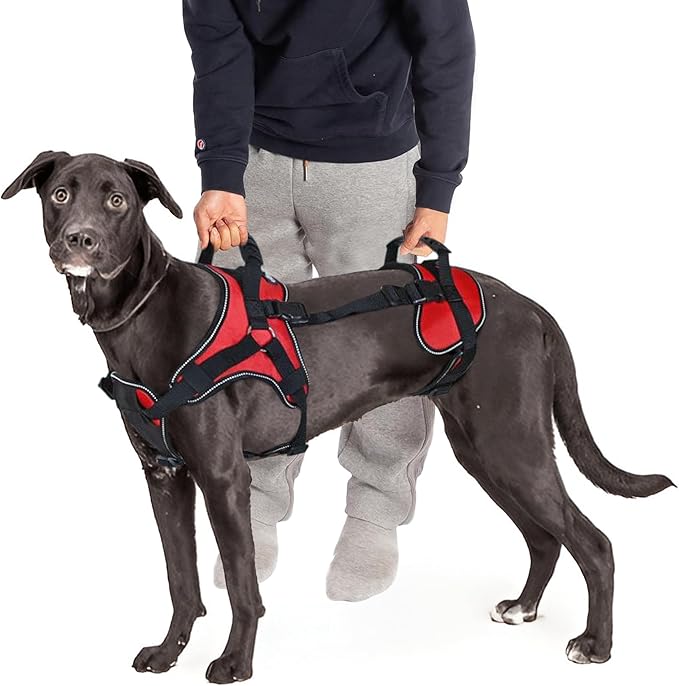 Doggie Stylz Multi-Functional Full-Body Lifting Dog Harness Vest, Designed for Front-Only, Rear-Only or Full-Body Lifting. Please Measure Your Dog Before Ordering.-PurrikoPets