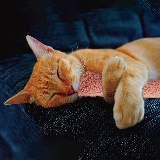 2 Pack Natural Interactive Catnip & Silvervine Cat Kicker with Tail, Bite Resistant Chew Toy, Crinkle Kicker, Accessories for Indoor Cat, Sherpa Material-PurrikoPets