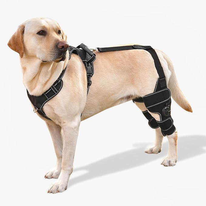Dog Knee Brace with Adjustable Support – ACL & CCL Tear Recovery, Post-Surgery Stabilization, Mobility Aid for Rear Legs – Includes Secure Chest Harness for Dogs(Both Legs,L)-PurrikoPets