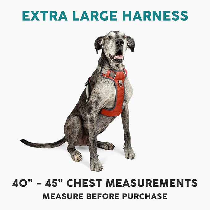 Embark Adventure Dog Harness, Reflective Trim XL Dog Harness for Extra Large Dogs No Pull - Military Grade Nylon, 2 Leash Clips & Gel Lined Handle.-PurrikoPets