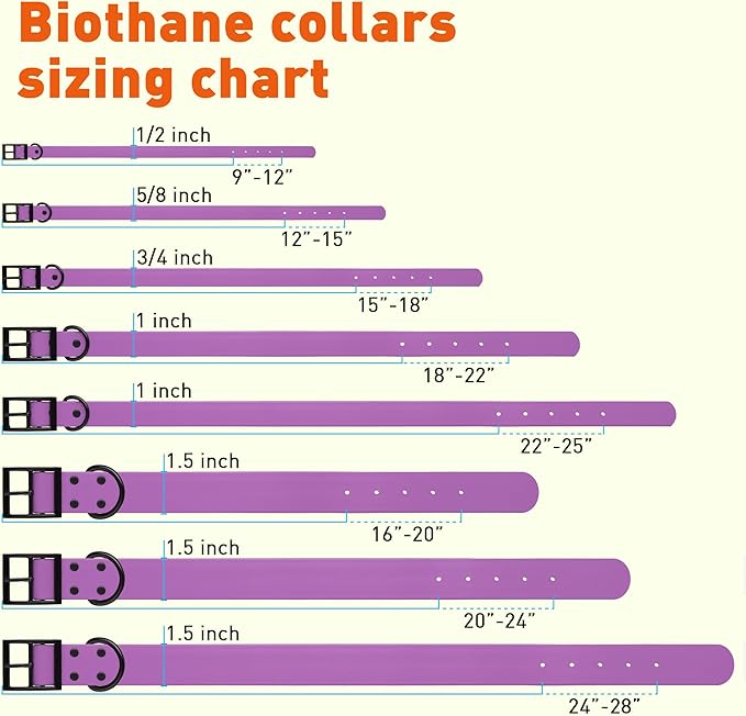 Dogline Biothane Waterproof Dog Collar Strong Coated Nylon Webbing with Black Hardware Odor- Proof for Easy Care Easy to Clean High Performance Fits Small Medium or Large Dogs, Amethyst Purple-PurrikoPets