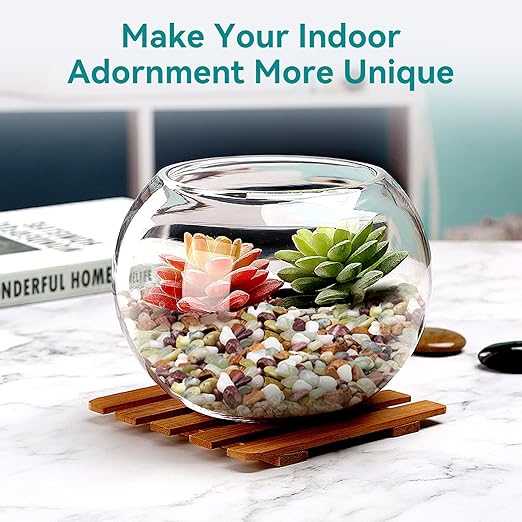 5lbs Pebbles for Indoor Plants, 3/8 Inch Small Rocks for Potted Plants, Succulents, Vase Fillers, Cactus Planters, Bird Bath, Fountain, Outdoor Garden Landscaping-PurrikoPets