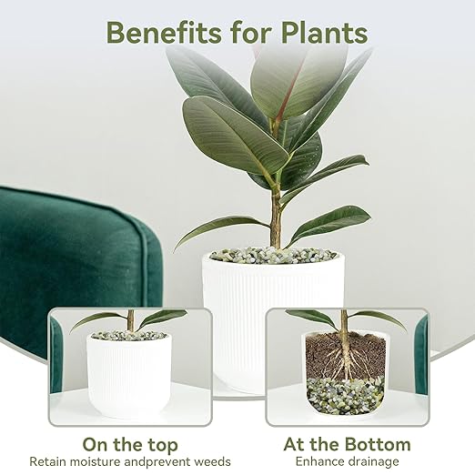 5LB Succulent and Cactus Pebbles, 1/5 Inch Jade Pebbles for Indoor Plants, Decorative Gravel for Vases, Bamboo, Succulent, Terrarium, Crafts, Cactus-PurrikoPets