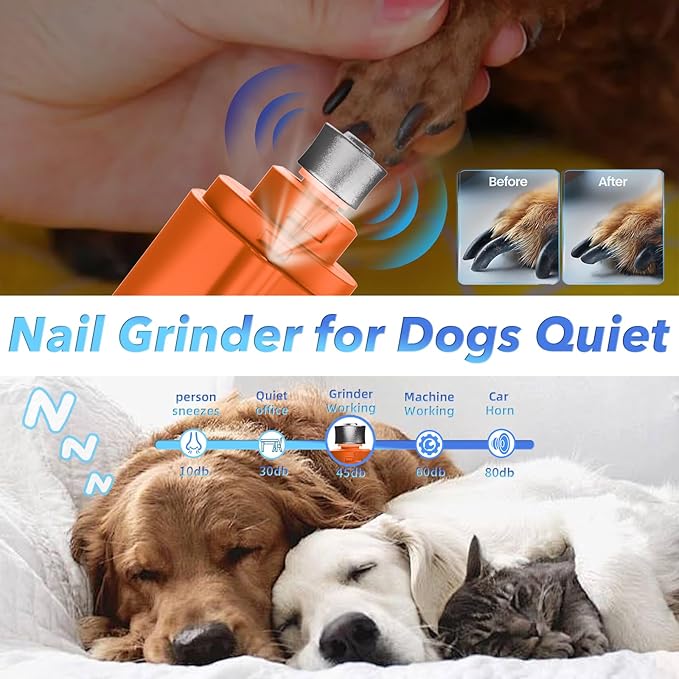 2 in 1 Dog Nail Clippers and Grinder with Lights & Cat Nail Clipper for Large Medium Small Dogs Cats Nail Trimmers USB Rechargeable with 2 LED Lights Dog Claw Care for Non-Black Nails-PurrikoPets