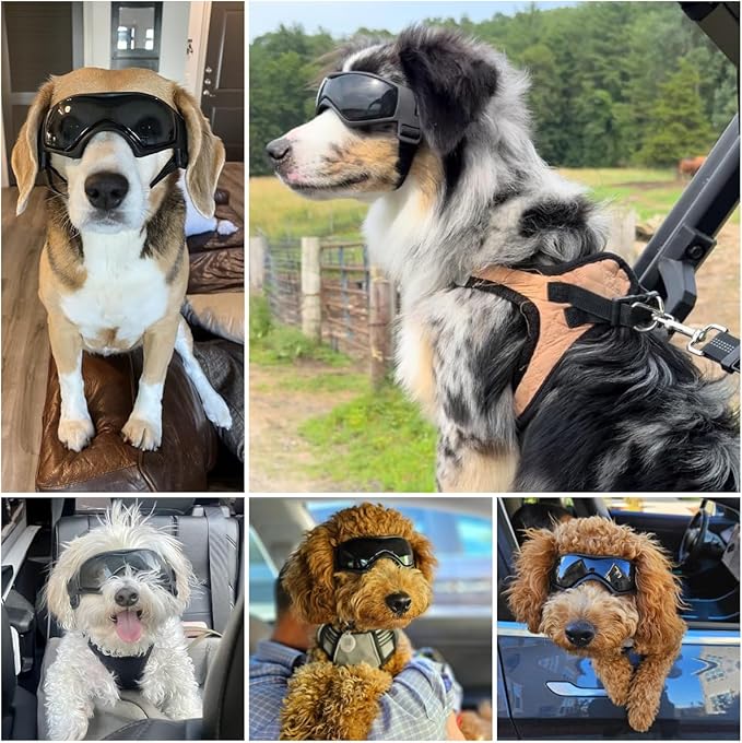 Dog Goggles Dog Sunglasses for Medium Breed UV Protection Windproof with Adjustable Head Straps Chin Straps for Ride Car/Hiking Travel/On Beach-Black-PurrikoPets
