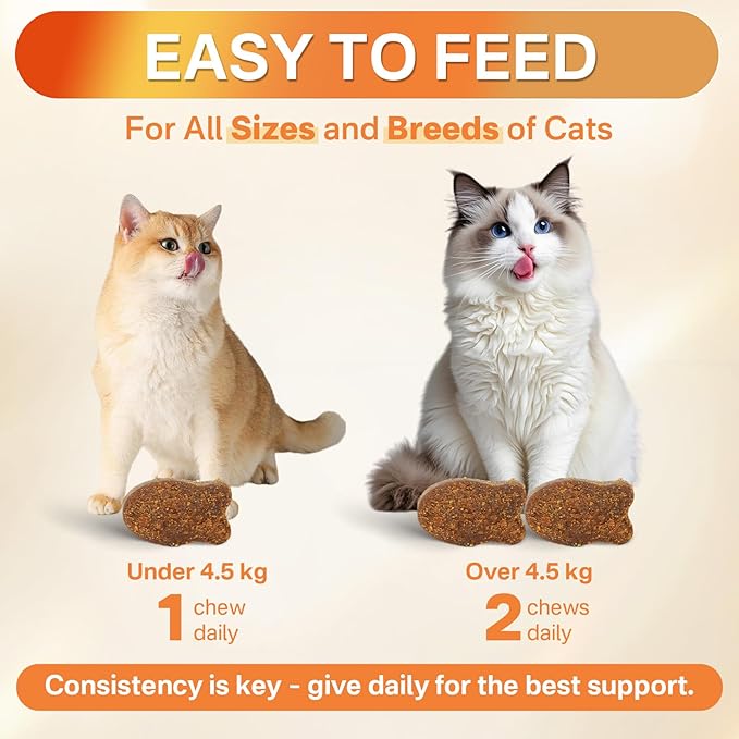 4-in-1 Flea Treatment for Cats Chewable, Natural Cat Flea and Tick Prevention Chewable Supplement for Skin & Coat | Immunity Support | Digestive | Flea & Tick Treatment for All Breeds & Sizes-PurrikoPets