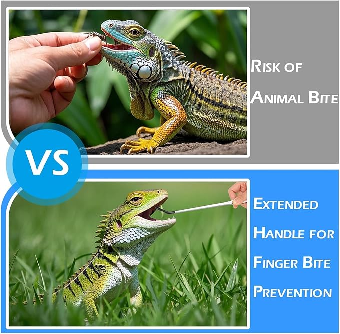 5 Pcs Reptile Feeding Tools Set with Silicone Tips - Extra Long Straight&Curved Tongs, Spoons, Scissors - Stainless Steel Terrarium Feeder Kit for Bearded Dragons, Lizards, Snake, Spiders, Aquarium-PurrikoPets