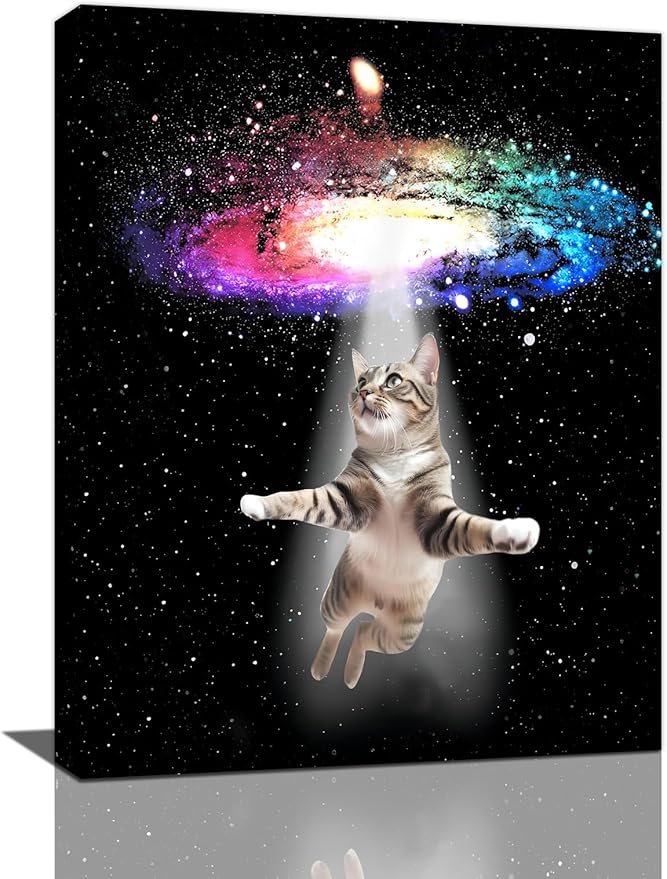 Funny Cat Wall Art Canvas Galaxy Wall Decor Prints Framed Painting Animal Pictures Gifts Artwork for Bathroom Living Dining Kitchen 12"x16"-PurrikoPets