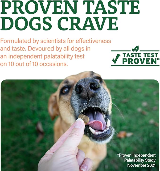 Doggie Dailies Senior Essentials Multivitamin for Dogs Soft Chews | Advanced Dog Multivitamin | Nutritional Support for Joints, Skin & Coat, Digestion, and the Immune System | Bacon Flavor | 120 Count-PurrikoPets