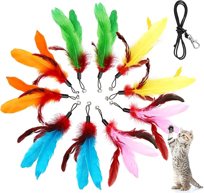 11PCS Cat Feather Toys Refills, 10PCS Feathers and 1PC String, Interactive Cat Wand Toy Replacement for Bored Indoor Adult Cats & Kittens-PurrikoPets