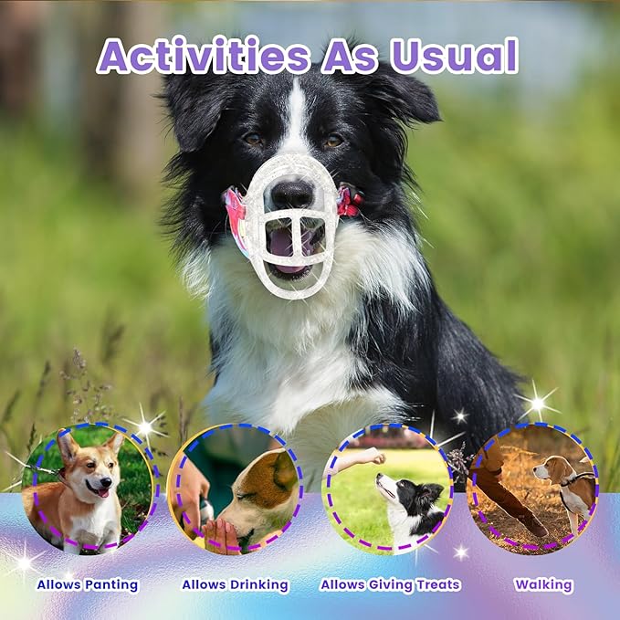 Dog Muzzle, OKKIC Basket Muzzle Anti Biting Chewing, Sturdy Lightweight Muzzle Allows Panting Drinking,Muzzle for Small Medium Large Dogs, Suitable for Grooming Trimming Training (Transparent, Size6)-PurrikoPets