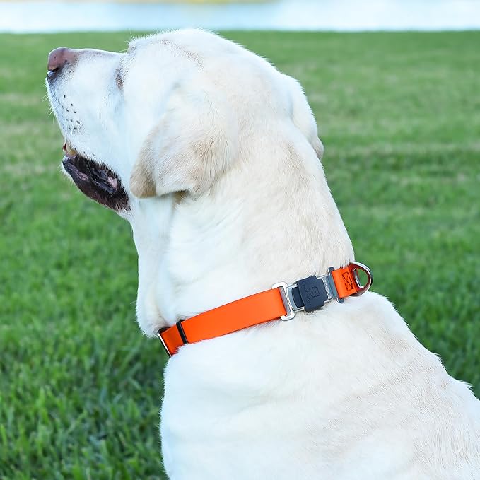Dogline Biothane Waterproof Dog Collar with Herm Sprenger Stainless Steel Quick Release Buckle – Heavy Duty Tactical Durable Collar for Dogs – Comfortable and Safe Pet Collar, W 3/4" L 12-19", Orange-PurrikoPets