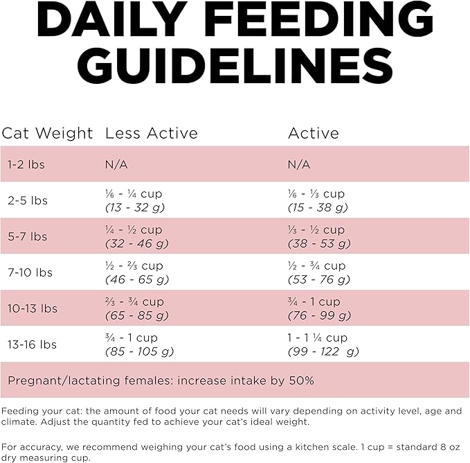 Go! Solutions Sensitivities Limited Ingredient, Grain-Free Dry Cat Food, Salmon Recipe for Sensitive Stomach, 3 lb Bag-PurrikoPets