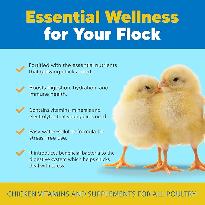 Flock PRO Chick Boost Probiotic - Probiotics, Vitamins, Minerals and Electrolytes for Chickens | Chicken Vitamins and Supplements for All Poultry - 3Oz-PurrikoPets