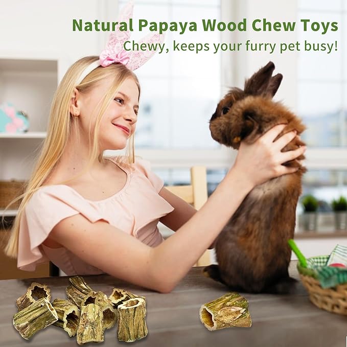 Fhiny Rabbit Chew Toys, 8 PCS 2" Natural Papaya Wood Chew Sticks Guinea Pig Treats for Dental Care Bunny Treats for Rabbits Small Pet Molar Snacks for Bunny Guinea Pig Chinchilla Hamster Gerbil-PurrikoPets