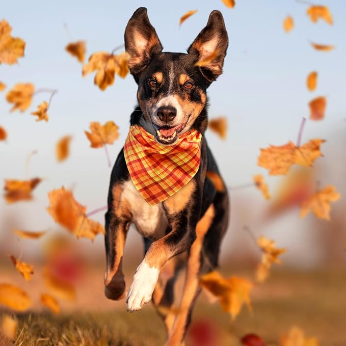 Abbylike 50 Pcs Fall Plaid Dog Bandanas Bulk Autumn Bandanas for Dogs Triangle Kerchief Bibs Scarf for Small Medium Large Pets Thanksgiving Costume Accessories, 25 Styles (31.5 x 21.7 x 21.7 Inch)-PurrikoPets