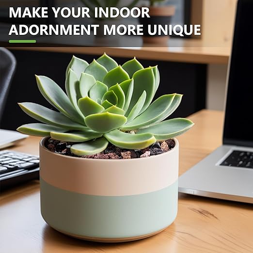 2.5lbs Small Rocks for Terrarium, Planters Drainage, 1/5 Inch Lava Rock for Bonsai Tree, Decorative Gravel for Succulents, Bamboo, Cactus, Mixed Color-PurrikoPets