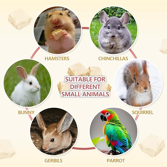 Abizoo Freeze Dried Tofu for Hamsters High Protein Low Fat & Balanced Minerals Grain Free Single Ingredient Natural Treats Enrichment Snacks for Rabbits, Guinea Pigs & Small Pets-PurrikoPets