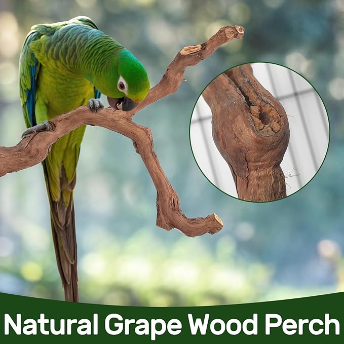 6-Piece Premium Bird Perch Stand with Natural Grape Wood Branch, Paw Grinding Fork, Chewing Stick, Cage Accessories for Parakeets, Budgies, Cockatiels, Finches, Lovebirds-PurrikoPets
