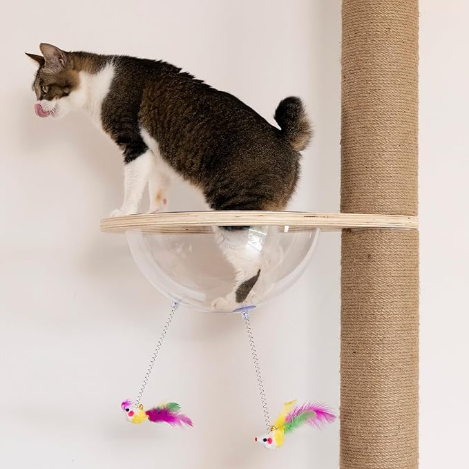 Floor to Ceiling Cat Tree Height (50-120 in) Adjustable Cat Tower 5 Tier Hemp Scratching Post High Cat Tree Sturdy Activity Tree Indoor Outdoor Cat Scratching Post Activity Center-PurrikoPets