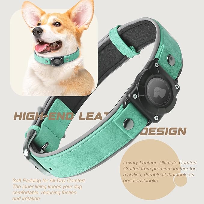 AirTag Dog Collar - Leather Dog Collar with Air Tag Holder | IPX8 Waterproof, Reflective, High - End, Adjustable Soft Padded | Dog GPS Tracker Collars Fit for Medium Large Dogs (Teal, M)-PurrikoPets