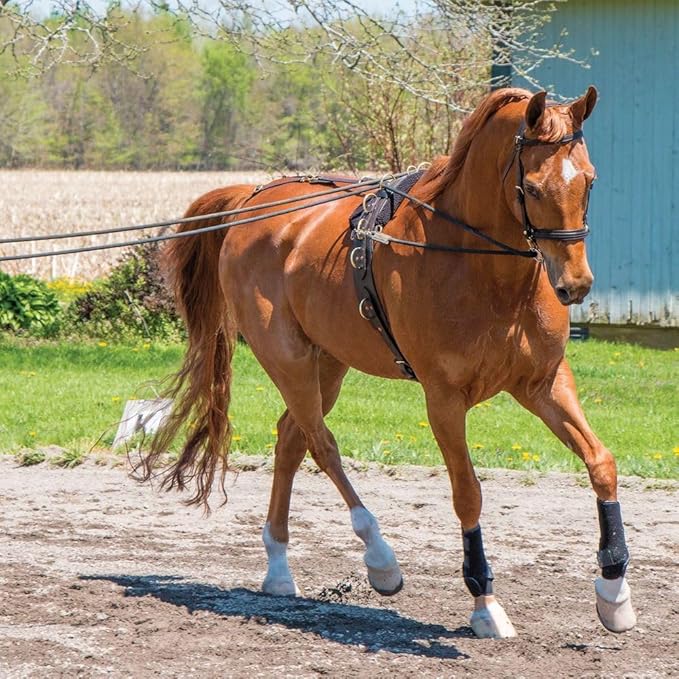 Dura-Tech MCR Long Lines 30'-PurrikoPets