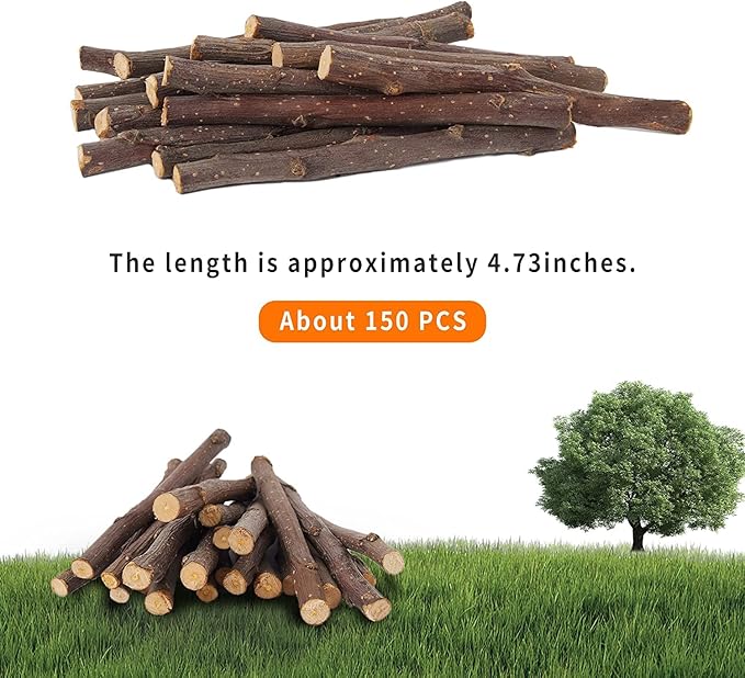 600g Apple Sticks Molar Wood Treats, Rabbit Toys Chinchilla Guinea Pig Bunny Toys Wood Chews Sticks for Teeth Rabbit Food Guinea Pig Hamster Gerbil Chews Small Animals Snacks(150 Pcs)-PurrikoPets