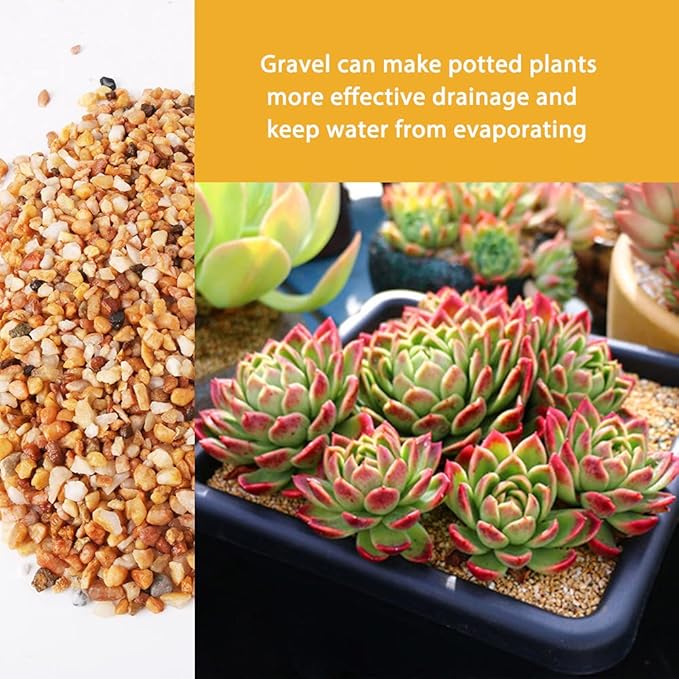 7lb Cactus Pea Gravel Rocks,1/5 Inch Pebbles for Indoor Plants, Natural Succulent Rock and River Rocks Decorative for Aquariums, Vases, Terrarium, Outdoor Gardening, Top Dressing for Potted Plants-PurrikoPets