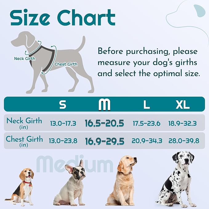 Eagloo Dog Harness Medium Sized, Easy Wearing with 3 Buckles, Adjustable No Pull Pet Harness with 2 Rings for Walking, No Chock Reflective Soft Padded Vest with Control Handle, Red & Teal, M-PurrikoPets