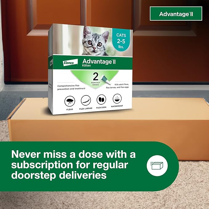Advantage II Kitten Vet-Recommended Flea Treatment & Prevention | Cats 2-5 lbs. | 2-Month Supply-PurrikoPets
