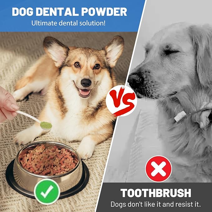 Dog Teeth Cleaning Powder, Dog Dental Powder and Breath Freshener, Plaque Off Pet Tooth Cleaning lab co, Bad Breath & Tartar Remover for Dogs, Natural Herbal Blend - All Breeds & Sizes-PurrikoPets