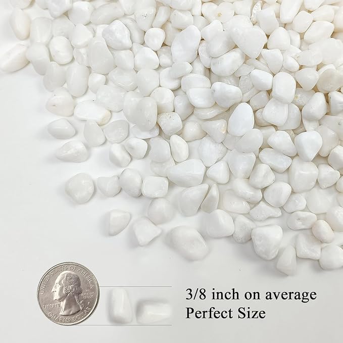 5 lbs White Pebbles for Indoor Plants, 3/8 Inch Decorative White Gravel, Polished River Rocks for Potted Plants Vase Cactus Bird Bath and Outdoor Garden Landscaping-PurrikoPets