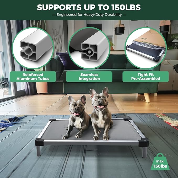 FXW TitanNest Chew-Proof Elevated Dog Bed, Raised Cot for Indoor/Outdoor/Camping Use, Durable & Washable Padded Pet Bed for Extra-Small Dogs, 30.0" L x 22.0" W x 4.5" H, Gray-PurrikoPets