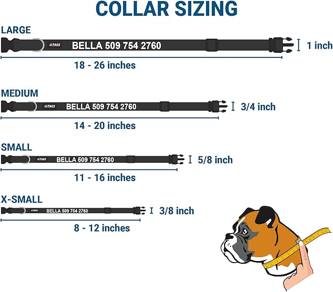 GoTags Reflective Personalized Dog Collar with Nameplate, Adjustable Dog Collar with Custom Engraved Steel Slide On Pet ID Tag, Silent, No Noise Dog Tag for Large Medium or Small (Light Blue, Small)-PurrikoPets